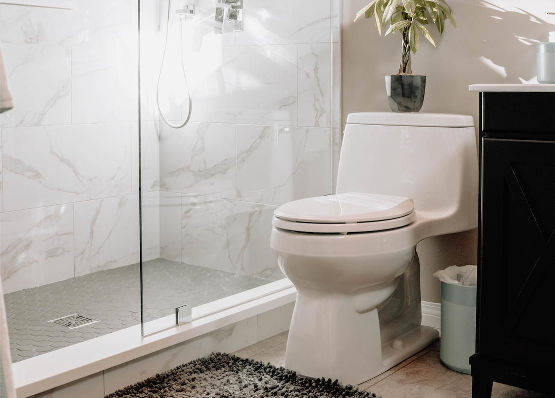 The Ultimate Guide to Toilets: Info that Won’t Go to Waste