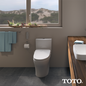 Washlet S550e Elongated Electronic Contemporary Bidet Seat in Sedona Beige