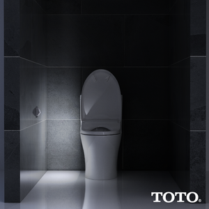Washlet S550e Elongated Electronic Contemporary Bidet Seat in Sedona Beige