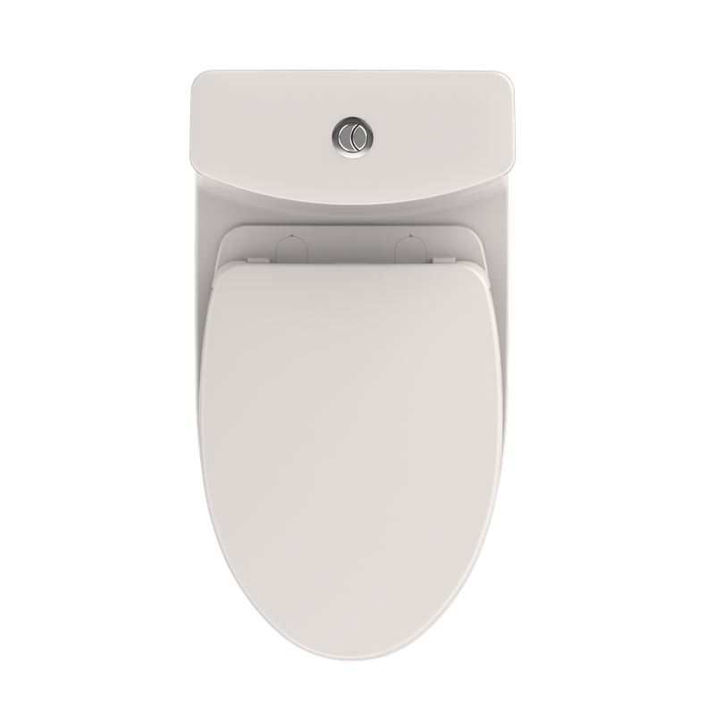 Aquia IV Elongated 1.28 gpf & 0.8 gpf One-Piece Toilet in Colonial White