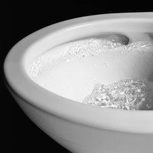 Drake II Elongated Toilet Bowl in Cotton White