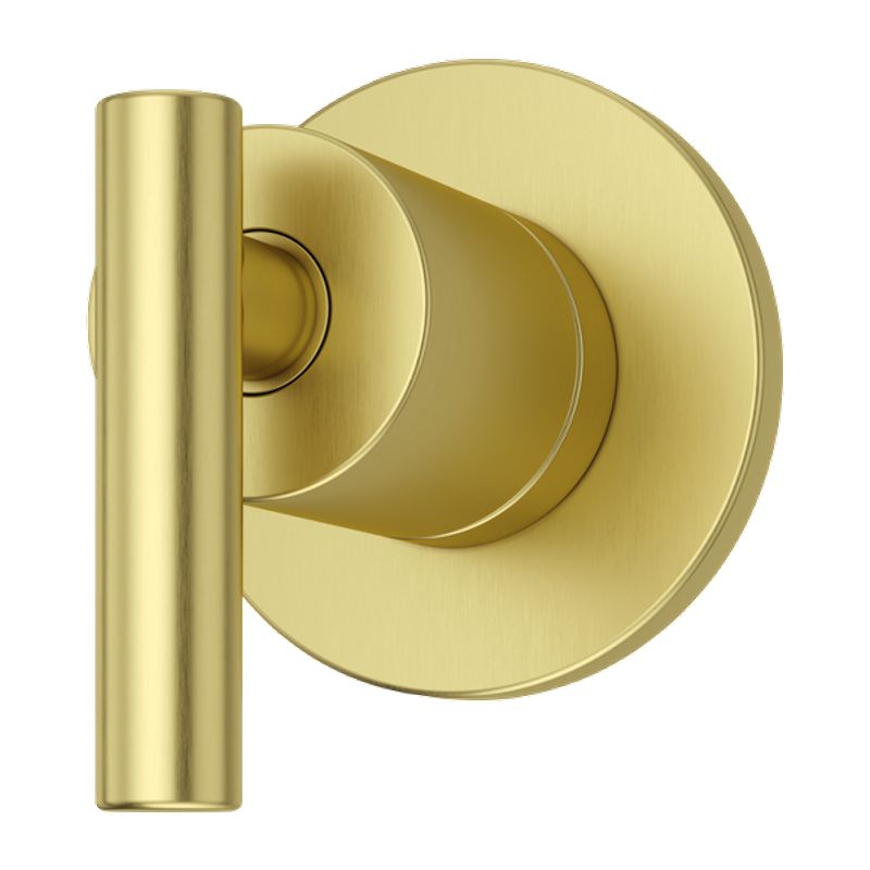 Contempra Diverter Trim in Brushed Gold