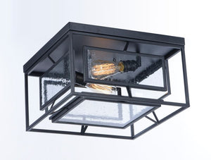 Era 15.75' 2 Light Flush Mount in Black