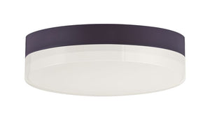 Illuminaire II 7' Single Light Flush Mount in Bronze