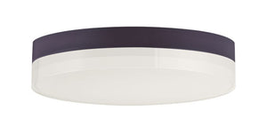 Illuminaire II 9' Single Light Flush Mount in Bronze