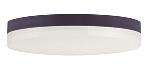 Illuminaire II 11' Single Light Flush Mount in Bronze