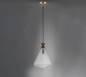 Abbott 12.5' Single Light Pendant in Weathered Oak and Antique Brass