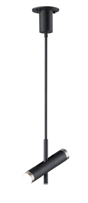 Ambit 2.25' 2 Light Single Pendant in Black and Satin Nickel