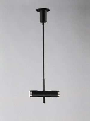 Ambit 2.25' 2 Light Single Pendant in Black and Satin Nickel