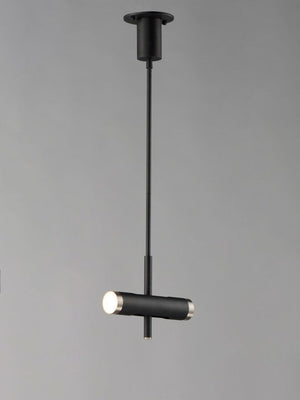 Ambit 2.25' 2 Light Single Pendant in Black and Satin Nickel