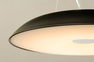 Dimple 29.5' Single Light Pendant in Black