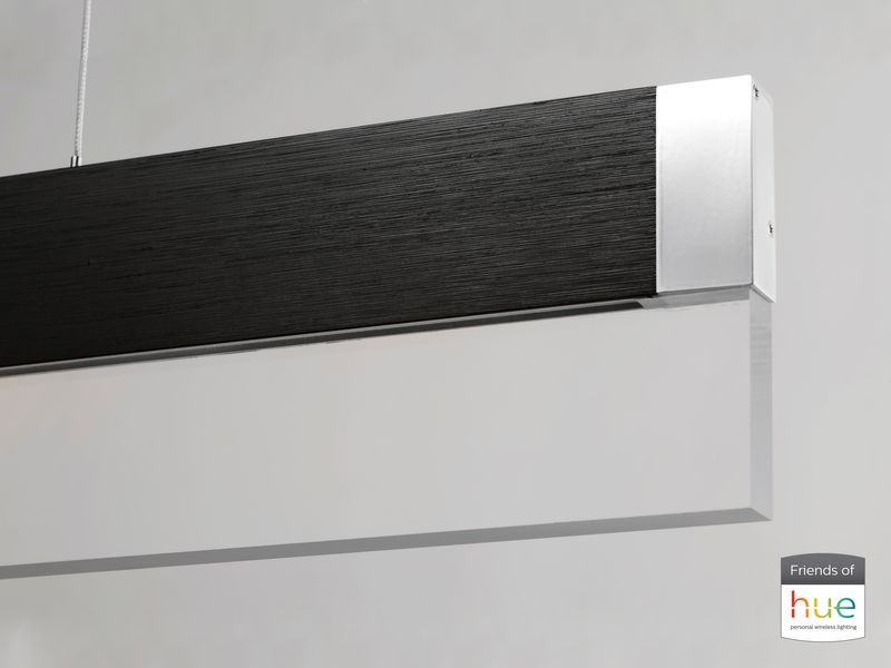 iBar 61.5' Single Light Friends of Hue Linear Pendant in Brushed Black