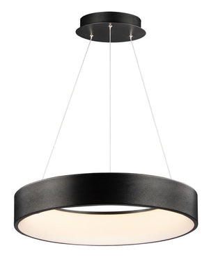 iQ 23.5' Single Light Friends of Hue Pendant in Brushed Black
