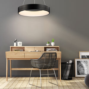 iQ 23.5' Single Light Friends of Hue Pendant in Brushed Black