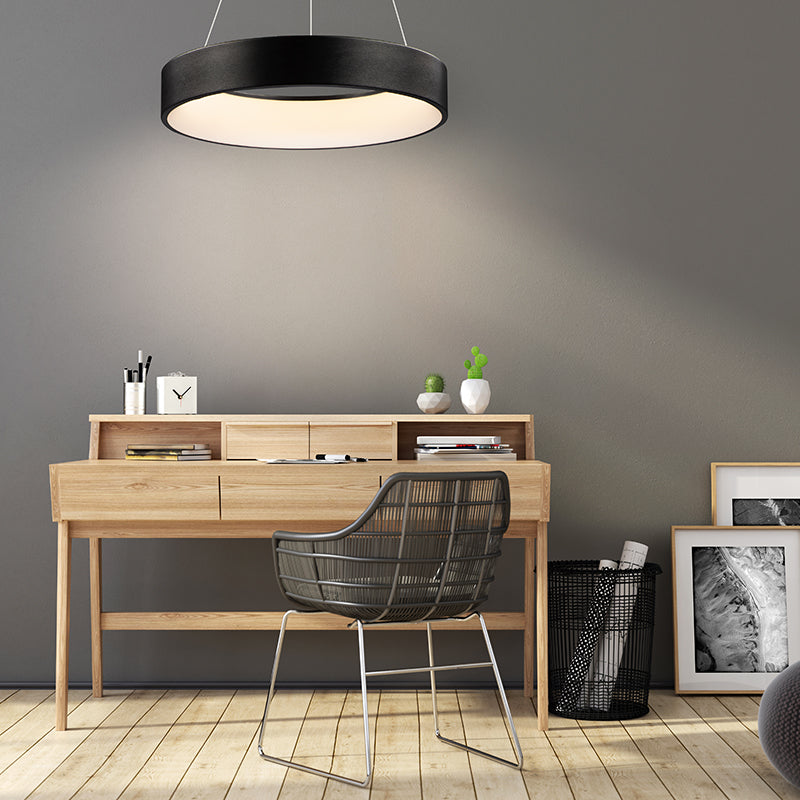 iQ 23.5' Single Light Friends of Hue Pendant in Brushed Black