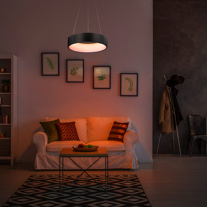 iQ 17.75' Single Light Friends of Hue Pendant in Brushed Black