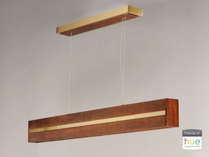 iWood 59.75' Single Light Friends of Hue Linear Pendant in Antique Pecan Brushed Champagne