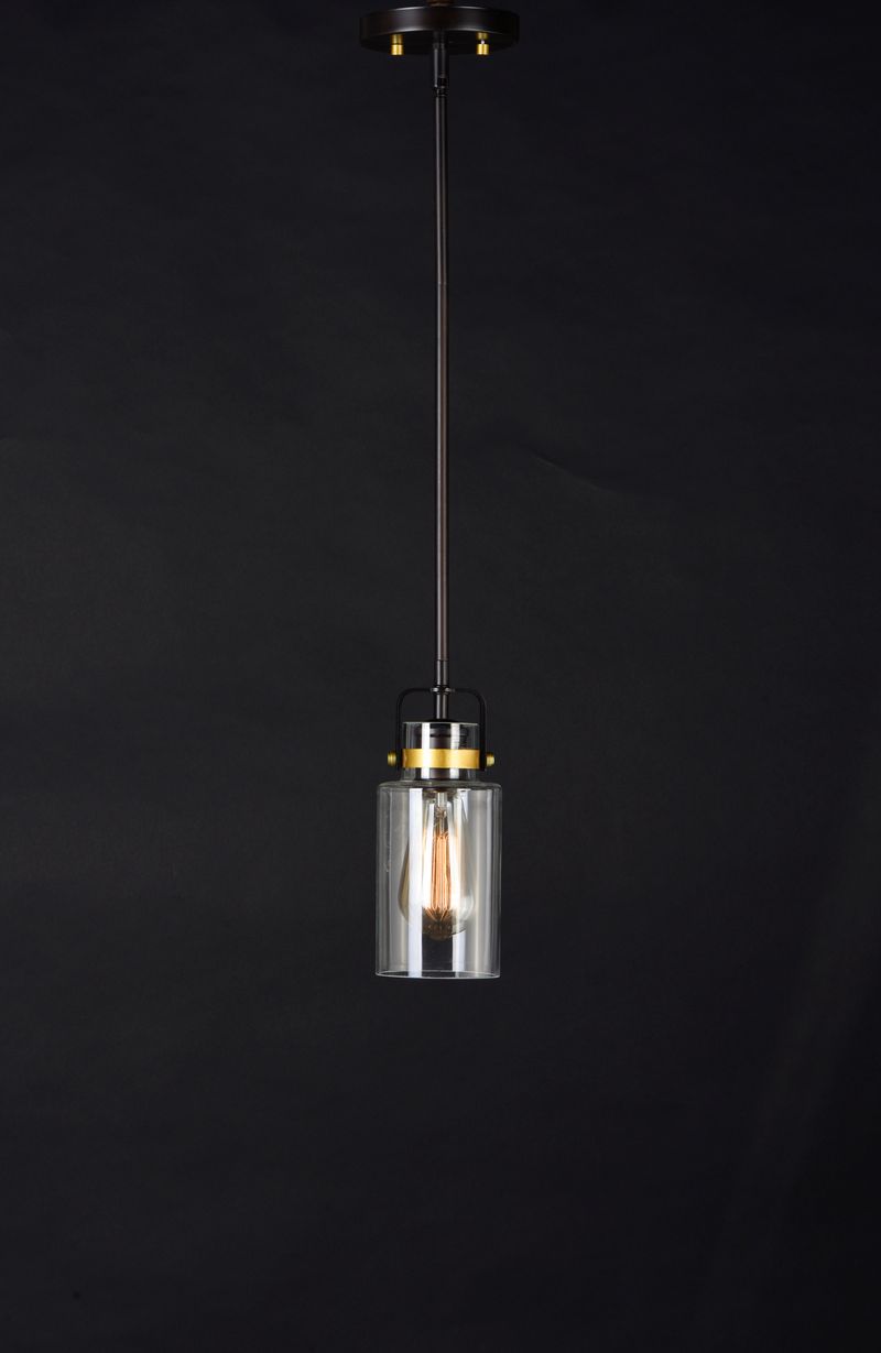 Magnolia 5' Single Light Pendant in Bronze and Gold