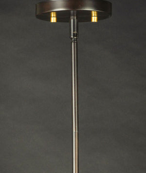Magnolia 5' Single Light Pendant in Bronze and Gold