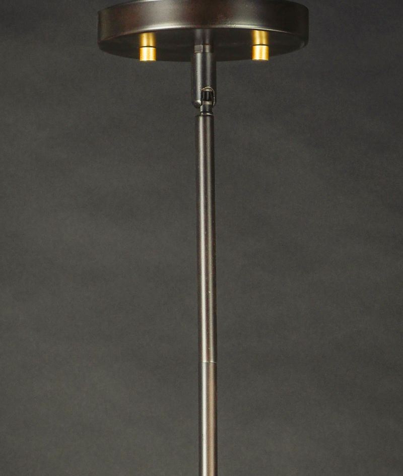 Magnolia 5' Single Light Pendant in Bronze and Gold