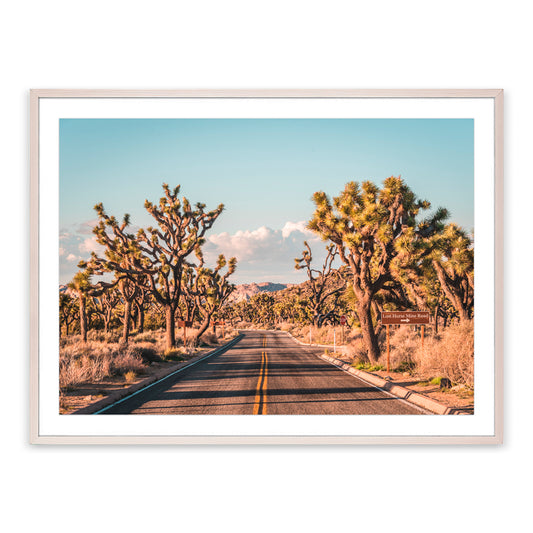 Joshua Tree National Park California Photograph By Teague Studios - 19" x 13"
