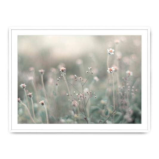 Morning Meadow Photograph By Teague Studios - 19" x 13"
