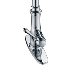 Luna Single-Handle Pull-Down Kitchen Faucet in Polished Chrome