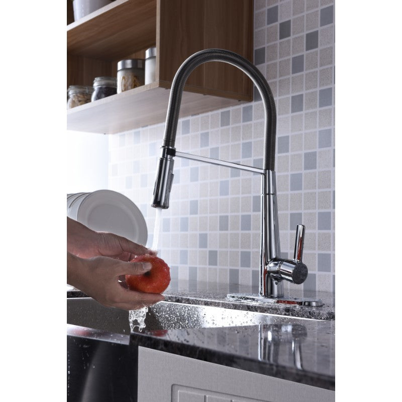 Apollo Single-Handle Pull-Down Kitchen Faucet in Polished Chrome