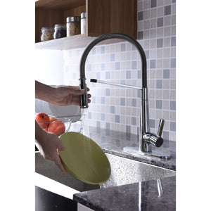 Apollo Single-Handle Pull-Down Kitchen Faucet in Polished Chrome