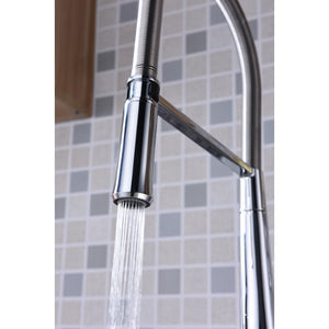 Apollo Single-Handle Pull-Down Kitchen Faucet in Polished Chrome
