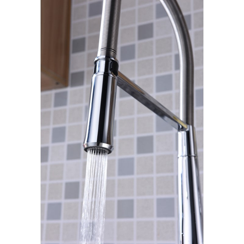 Apollo Single-Handle Pull-Down Kitchen Faucet in Polished Chrome