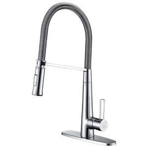 Apollo Single-Handle Pull-Down Kitchen Faucet in Polished Chrome