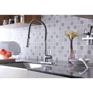 Apollo Single-Handle Pull-Down Kitchen Faucet in Polished Chrome