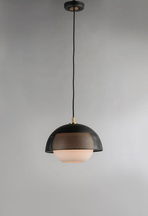 Perf 14.25' Single Light Pendant in Black and Satin Brass