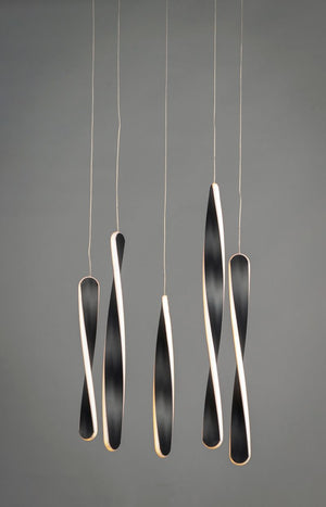 Pirouette 16' 5 Light Multi-Light Pendant in Black