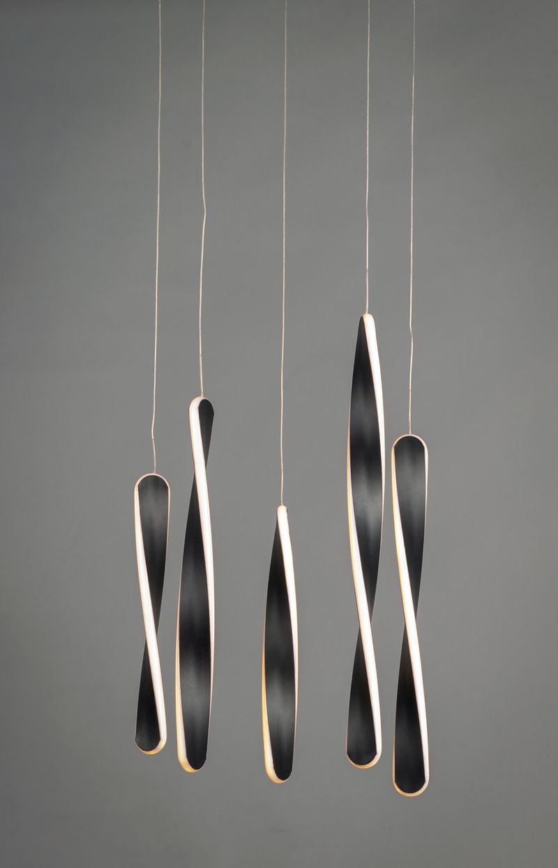 Pirouette 16' 5 Light Multi-Light Pendant in Black