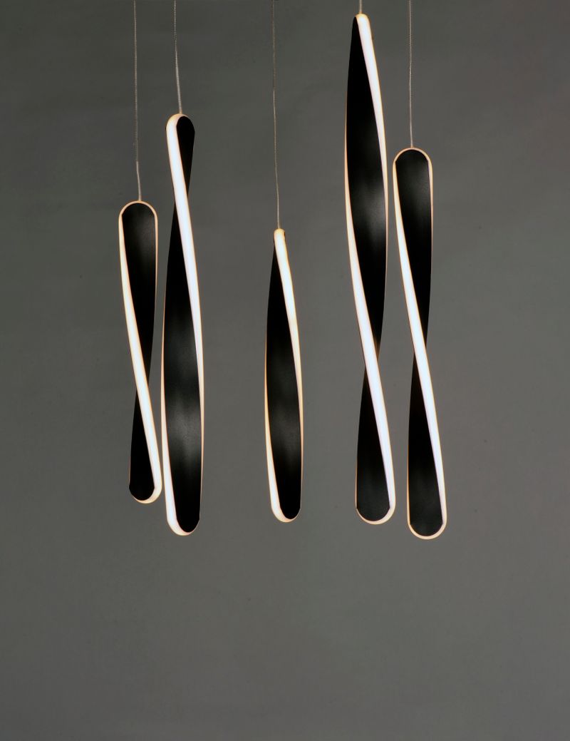 Pirouette 16' 5 Light Multi-Light Pendant in Black