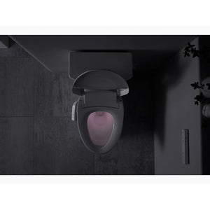 C3-430 Elongated Electronic Bidet Seat in White