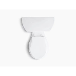 Wellworth Classic Round 1.28 gpf Two-Piece Toilet in White