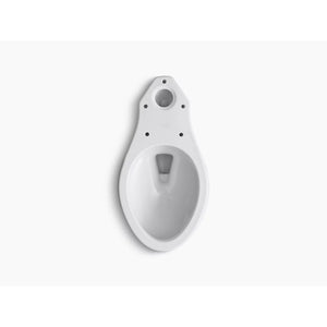 Wellworth Elongated Toilet Bowl in White