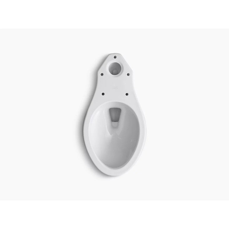 Wellworth Elongated Toilet Bowl in White