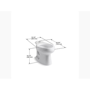 Wellworth Elongated Toilet Bowl in White