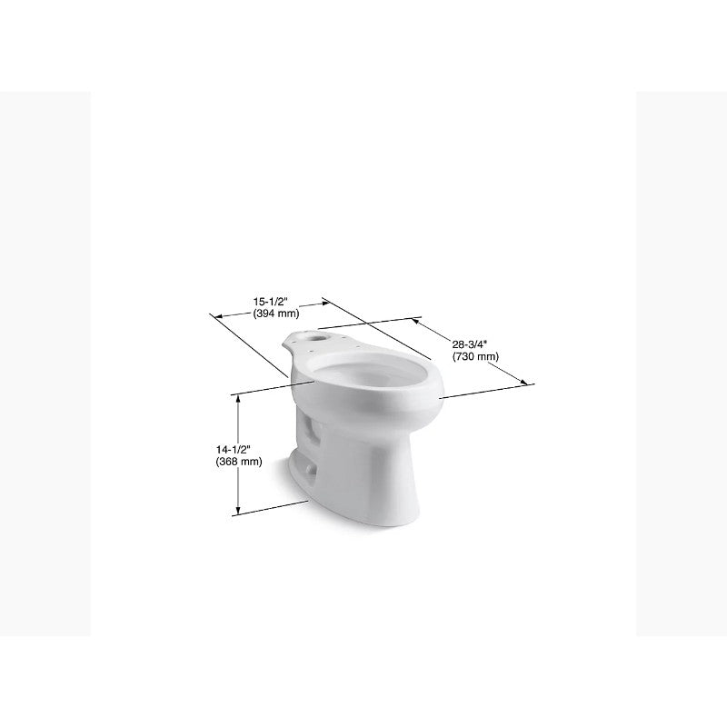Wellworth Elongated Toilet Bowl in White