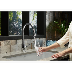 Simplice Pull-Down 16.56' Kitchen Faucet in Vibrant Stainless