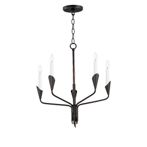 Calyx 22' 5 Light Suspension Chandelier in Black