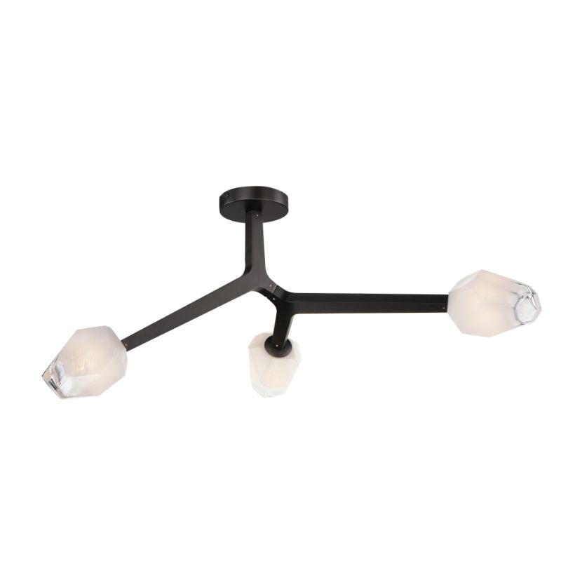 Blossom 20' 3 Light Flush Mount in Black