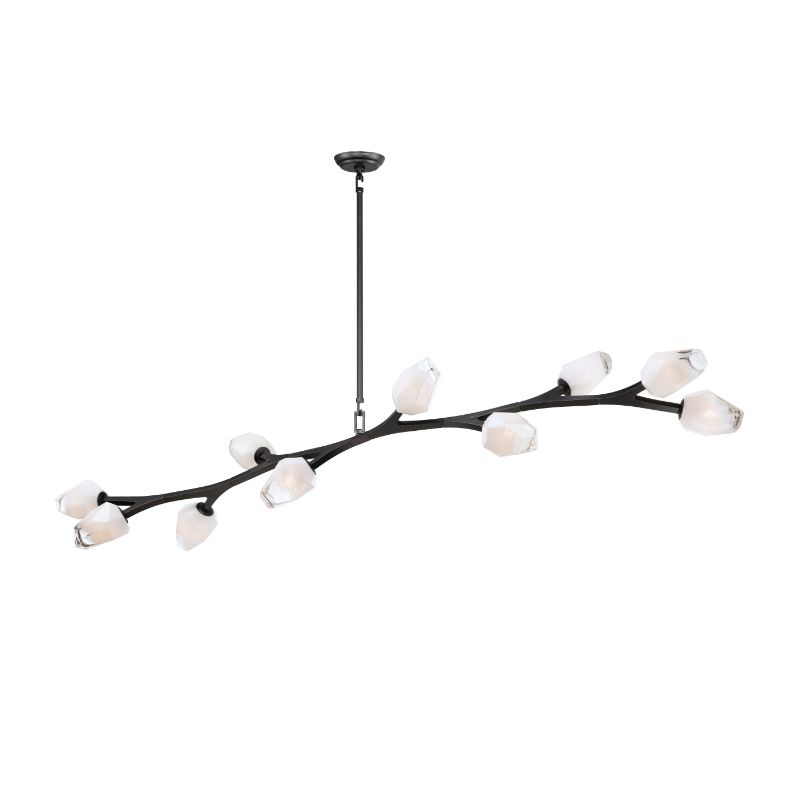 Blossom 17.25' 10 Light Multi-Light Pendant in Black