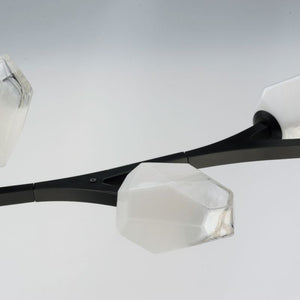 Blossom 17.25' 10 Light Multi-Light Pendant Suspension Pendant in Black