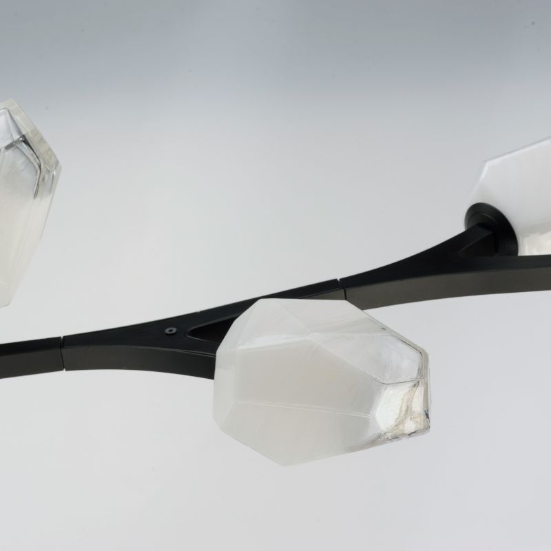 Blossom 17.25' 10 Light Multi-Light Pendant Suspension Pendant in Black