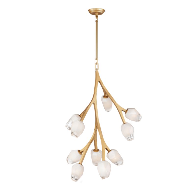 Blossom 19.25' 10 Light Multi-Light Pendant in Natural Aged Brass